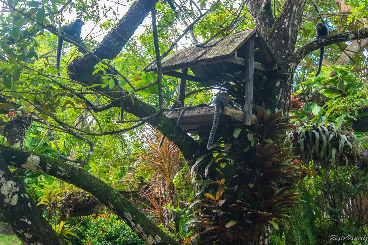 Pousada Atlântica Itacaré Exterior foto
